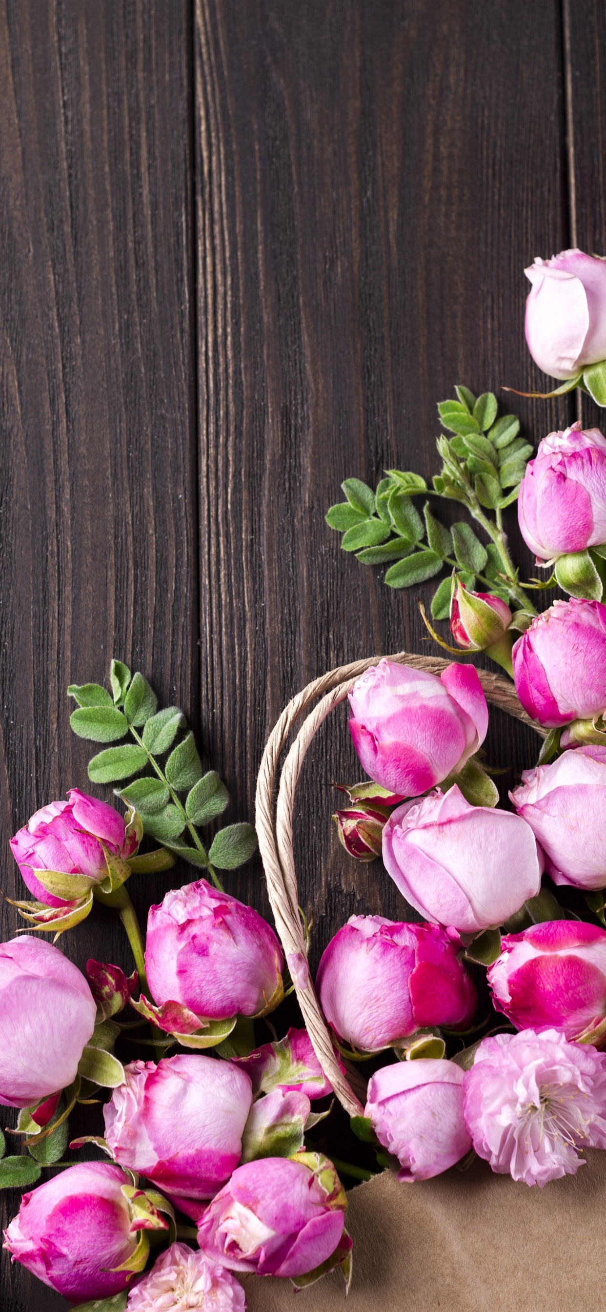 Pink Roses Flowers Wood Board 1242x26 Iphone 11 Pro Xs Max Wallpaper Background Picture Image